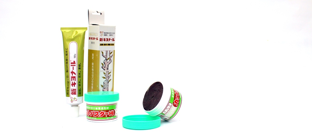 bonsai sebkezelok a bonsai sebek gyogyitasahoz